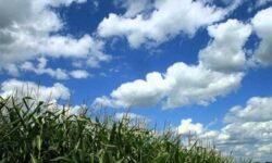 کاهش ۲ درجه‌ای دمای هوا در همدان