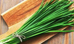 «تره» برای دیابتی‌ها ممنوع است؟