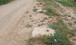 مدیرپایگاه ملی تاق بستان: تاکنون هیچ طرح جامع گردشگری برای شکارگاه خسروپرویز ارائه نشده است