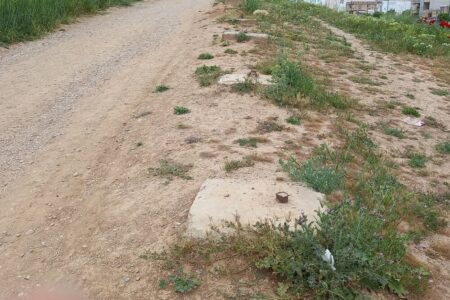 مدیرپایگاه ملی تاق بستان: تاکنون هیچ طرح جامع گردشگری برای شکارگاه خسروپرویز ارائه نشده است