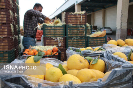افزایش نظارت‌ها بر بازار میوه و تره‌بار زنجان 
