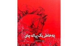 کتاب پلاک فرمانده منتشر شد