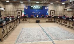 مدیرکل پدافند غیرعامل استان: سند ملی دانش‌بنیان امنیت غذایی، برنامه استراتژیک کشور است
