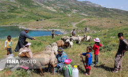 گستردگی و صعبالعبور بودن مناطق عشایری کار آبرسانی را سخت کرده است