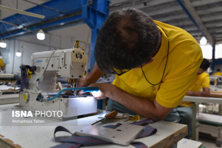 تشکیل شبکه ملی اشتغال مددجویان بهزیستی/ افزایش تسهیلات اشتغال