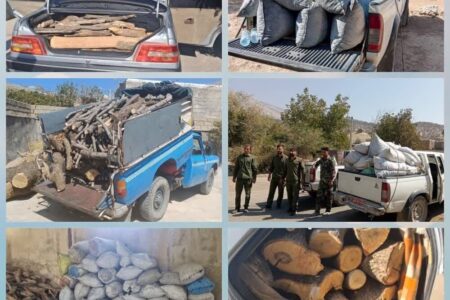 دستگیری قاچاقچیان چوب و زغال در دل کولاک و باران کهگیلویه و بویراحمد