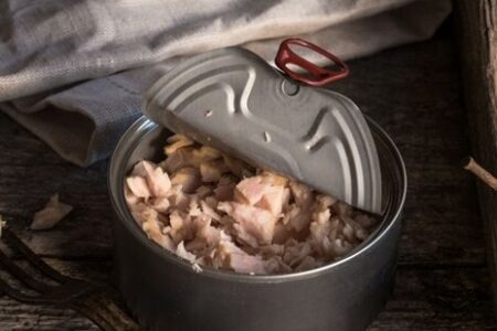 آیا خوردن روزانه ماهی تُن بی‌خطر است؟