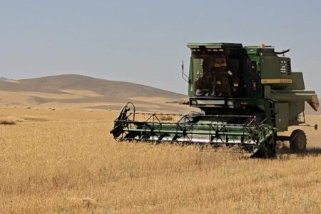 آغاز برداشت و خریدتضمینی گندم دربیجار