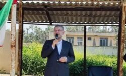 وزیر جهاد: نخل‌های جدید جایگزین نخلیات فرسوده می‌شوند