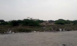 تل چیتی گناوه قابلیتی مغفول مانده برای گردشگری