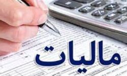 واکنش نماینده بوشهر به فرار مالیاتی پردرآمدها/ باید هرچه در توان داریم را به میدان بیاوریم
