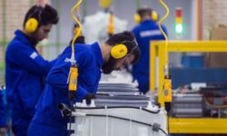 ایجاد ۱۲ هزار و ۵۰۰ فرصت شغلی برای بوشهریها