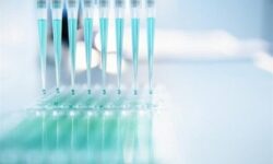 تولید انبوه کیتهای ژنتیک پزشکی قانونی در ایران/ صادرات به زودی آغاز میشود