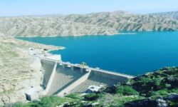 ۷۲ درصد از حجم سدهای استان بوشهر پر شد