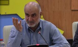 ۵۰ درصد تولیدات پتروشیمی کشور متعلق به استان بوشهر است