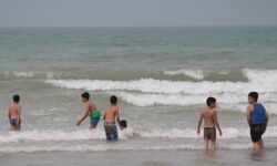 نیمی از شناگاه‌های شهرستان گناوه ناسالم است