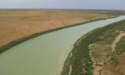 فقط احیای بخش کوچکی از تالاب ممکن است