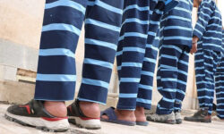 دستگیری ۶۲۵ سارق در استان بوشهر/ کشف ۵۱۰ کیلوگرم مواد مخدر