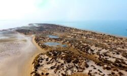 پیشرفت ۶۰ درصدی طرح لایروبی کانال دسترسی بندر ریگ