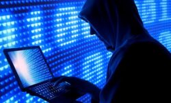 شبکه اینترنتی مدلینگ و ترویج بی‌حجابی در استان بوشهر منهدم شد