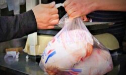 قیمت مرغ در استان بوشهر نزولی شد