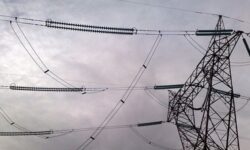 خسارت ناشی از نوسان برق در بوشهر از هفته آینده پرداخت می‌شود