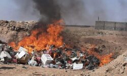 معدوم‌سازی ۱۲ تن فرآورده غیربهداشتی در بوشهر