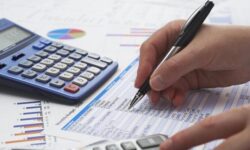 پرداخت مالیات برای بخشی از مشاغل بوشهری رایگان شد