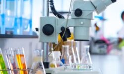 ۱۱۵ هزار آزمایش در بیمارستان شهید گنجی برازجان انجام شد