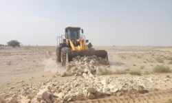 ۲۵ هکتار از تغییر کاربریهای غیر مجاز در دشتستان قلع و قمع شد