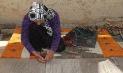 جشنواره فرش دستبافت در استان بوشهر برگزار میشود