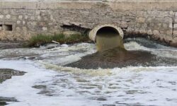 شهر چغادک بوشهر با مشکلات زیستمحیطی روبرو است