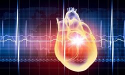 استان بوشهر نیازمند ایجاد بیمارستان ۲۰۰ تختخوابی قلب است