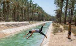 شنا کردن در تاسیسات آبی استان بوشهر ممنوع است