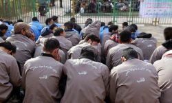 سرنوشت ۲۰۵ معتاد به کمپ ترک اعتیاد رسید