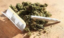 گل و شیشه بیشترین مواد مخدر مصرفی در بین جوانان استان بوشهر است