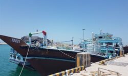 نصب دستگاه پیشرفته ایکس‌ری و استقرار سگ‌های موادیاب در گمرک بندر دیر