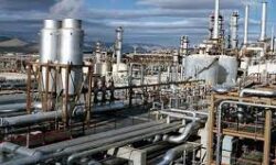تشکیل پرونده تخلف برای پنج شرکت پتروشیمی