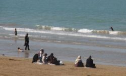 پلاژ بانوان در شهرهای ساحلی استان بوشهر ایجاد میشود
