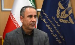 ۱۱ محکوم به قصاص در استان بوشهر رهایی یافتند