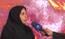 جولان گرما در استان بوشهر