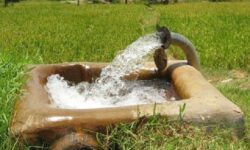 برداشت بی‌رویه آب در دشت بوشکان/ لزوم تغییر الگوی کشت و آبیاری