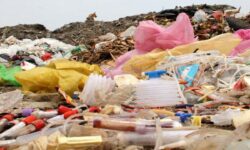 دفع پسماند‌های پزشکی در استان بوشهر مطلوب نیست