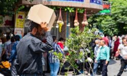 گرمای ۵۰ درجه مهمان بوشهر شد