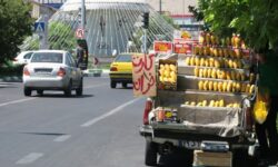 دستفروشان حاشیه راههای بوشهر جمعآوری میشوند