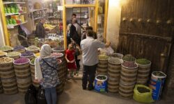 فروشندگان گیاهان دارویی در استان بوشهر ساماندهی می‌شوند