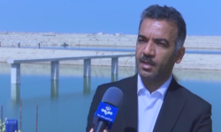 پیش‌بینی تولید ۴۴ هزار تن میگو در استان بوشهر