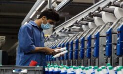 مجوز ۳۲ خدمت مورد نیاز کسب و کار حوزه صمت در استان بوشهر صادر خواهد شد