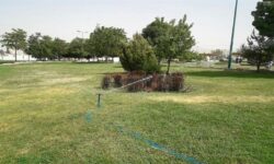 طرح احیاء پارک‌ها در بوشهر عملیاتی می‌شود