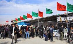 ۷۲ موکب بوشهری در خاک عراق خدمت رسانی می‌کنند